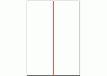 105mm x 295.2mm - 2 labels per sheet